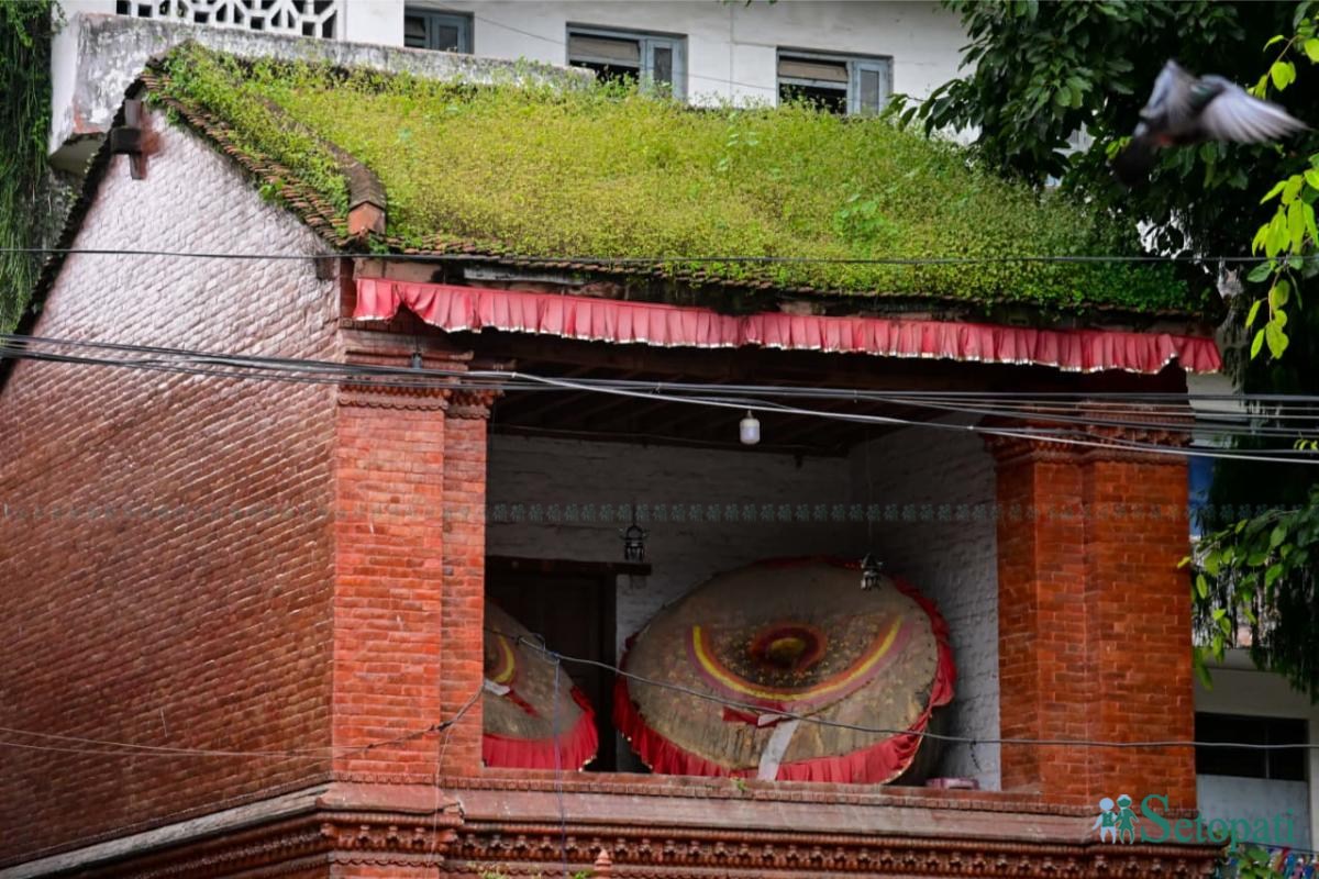 Basantapur-ma-Grass_NPL-(21)-ink-1755489586.jpeg