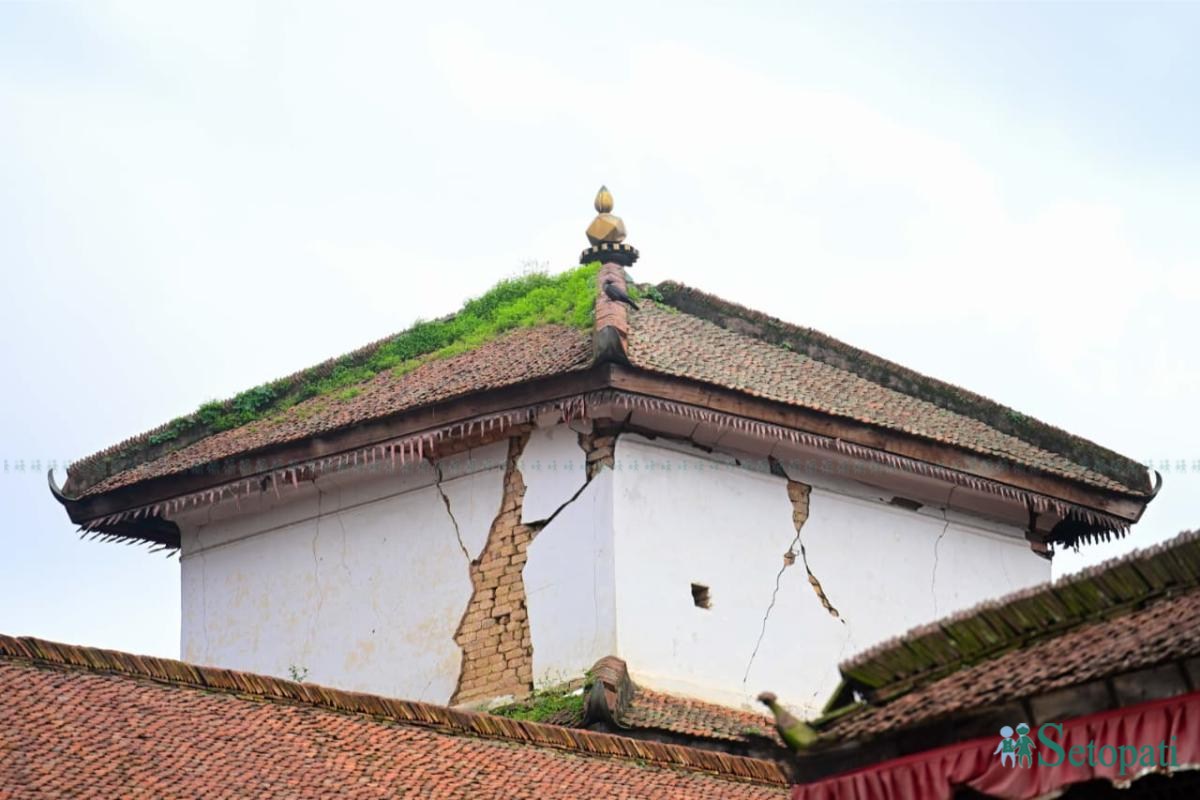 Basantapur-ma-Grass_NPL-(23)-ink-1755489587.jpeg