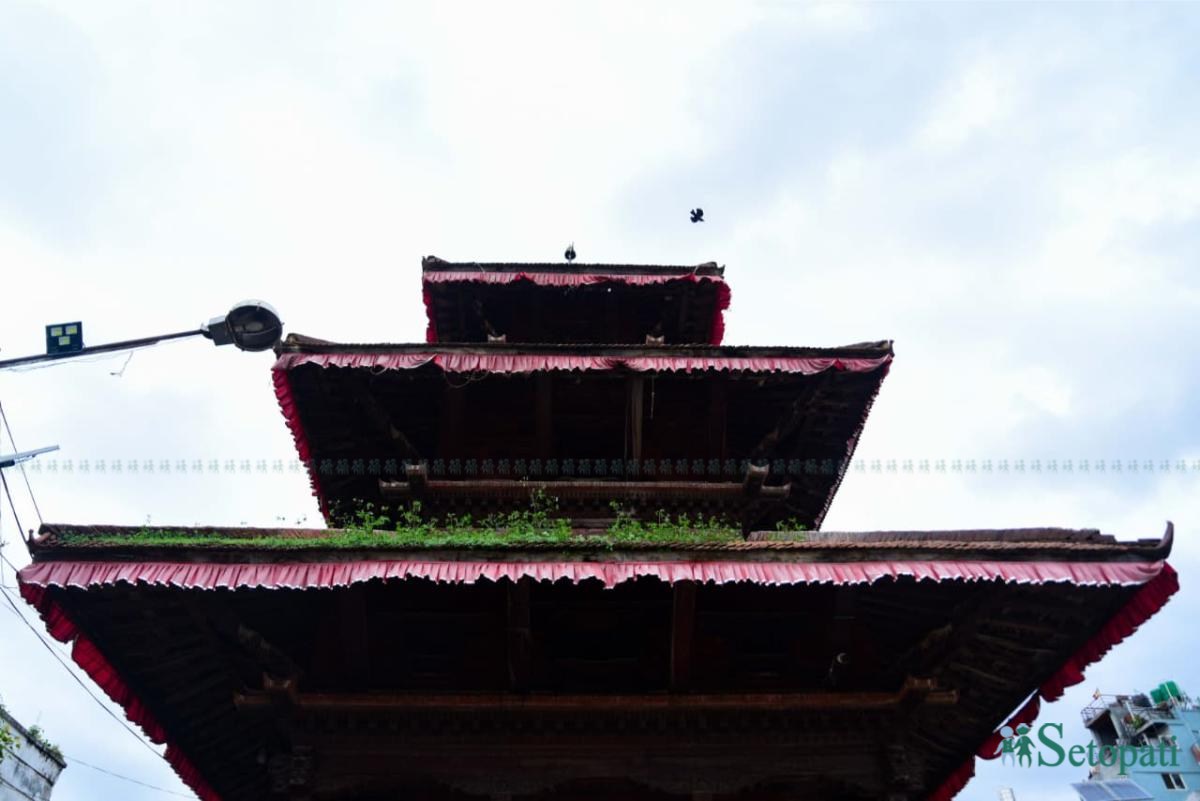 Basantapur-ma-Grass_NPL-(24)-ink-1755489587.jpeg