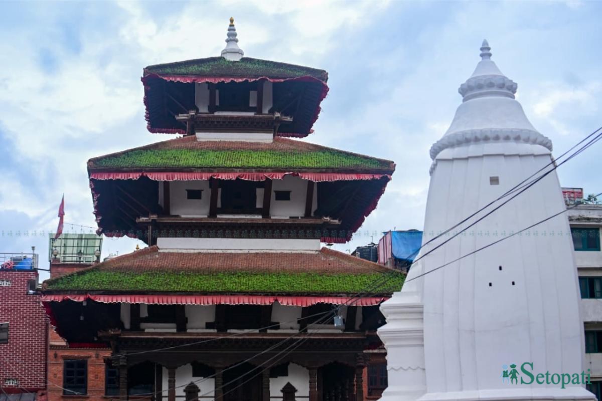 Basantapur-ma-Grass_NPL-(30)-ink-1755489590.jpeg
