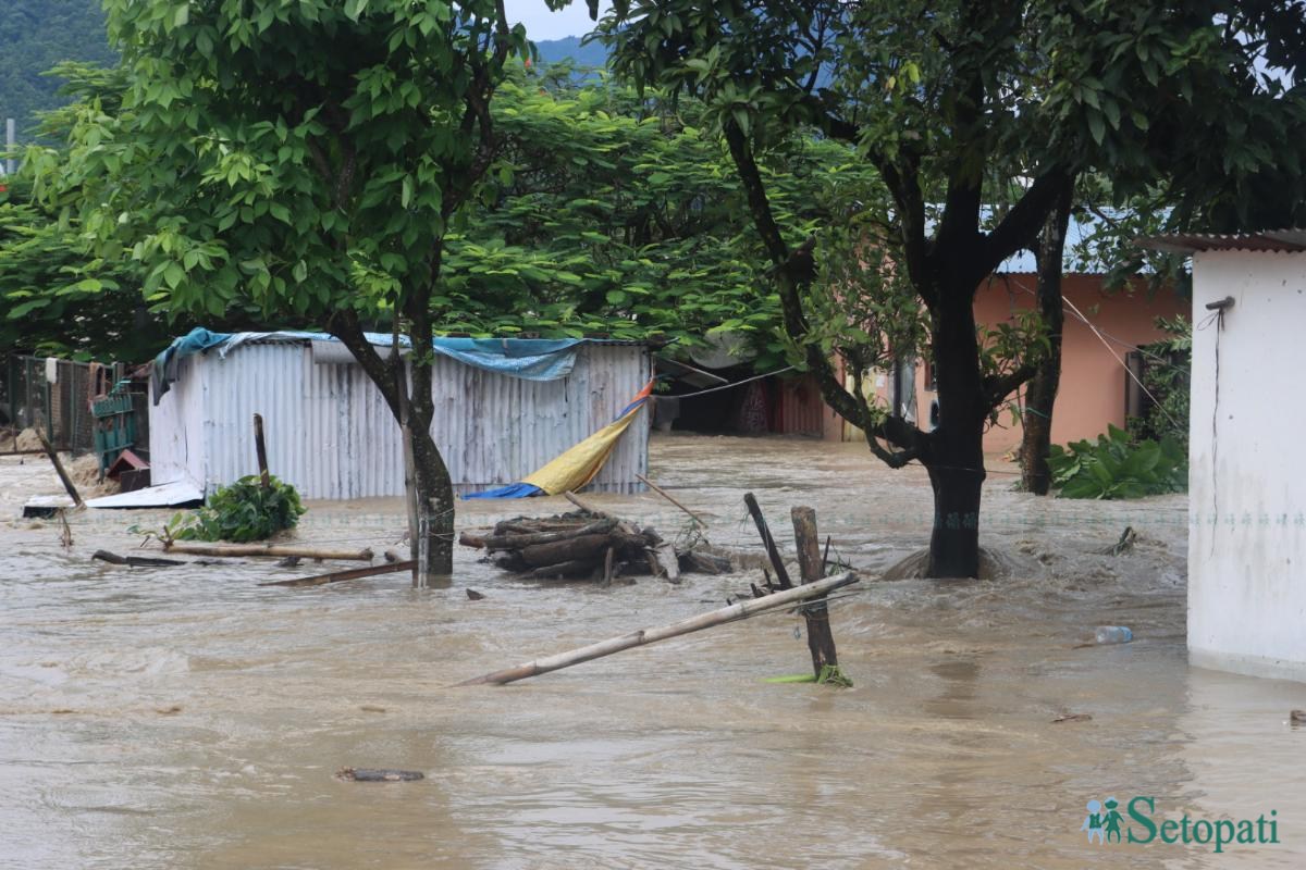 Bastima-badhi-chitwan_NPL-(6)-ink-1790485018.jpeg