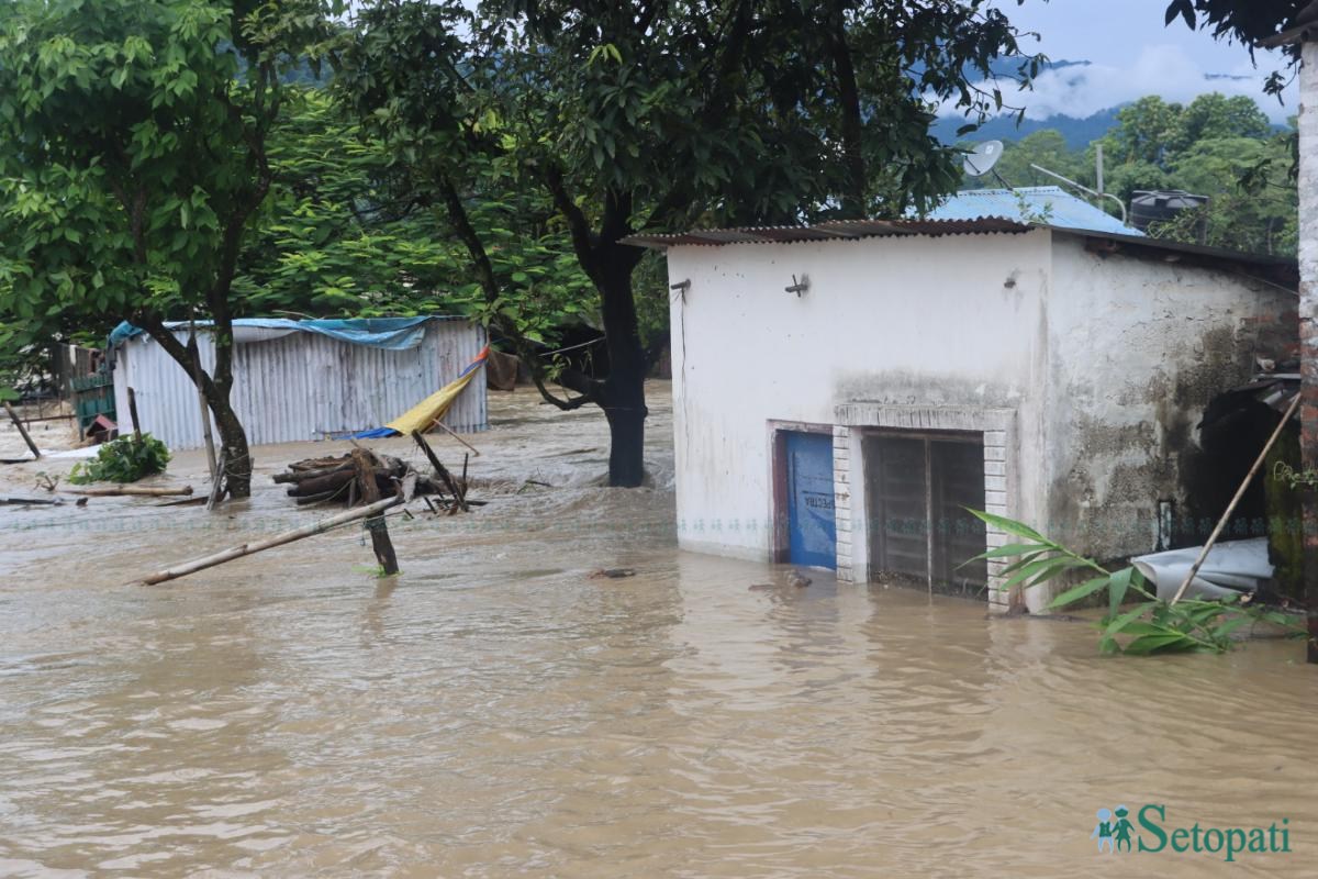 Bastima-badhi-chitwan_NPL-(8)-ink-1790485018.jpeg