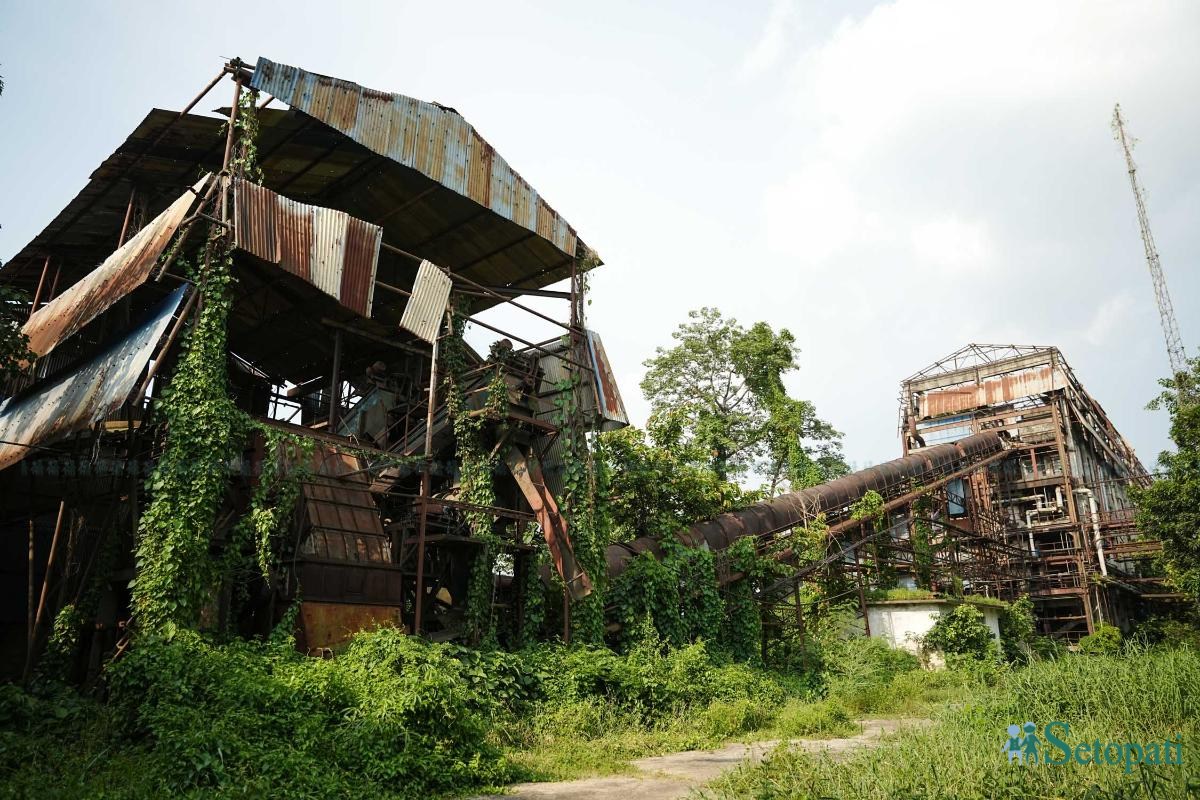 Bhrikuti-Paper-Factory,-Nawalparasi_NPL_13-ink-1783753372.jpeg