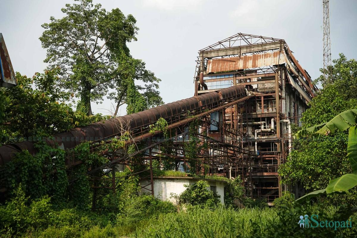 Bhrikuti-Paper-Factory,-Nawalparasi_NPL_15-ink-1783753372.jpeg