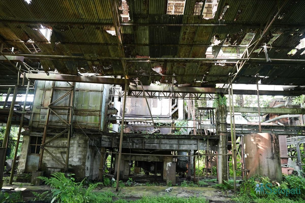 Bhrikuti-Paper-Factory,-Nawalparasi_NPL_17-ink-1783753372.jpeg