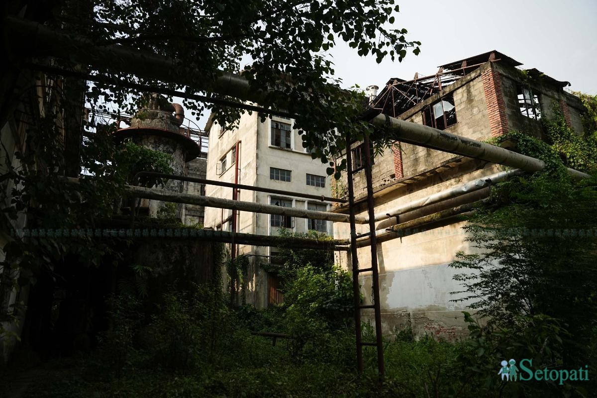 Bhrikuti-Paper-Factory,-Nawalparasi_NPL_9-ink-1783753370.jpeg
