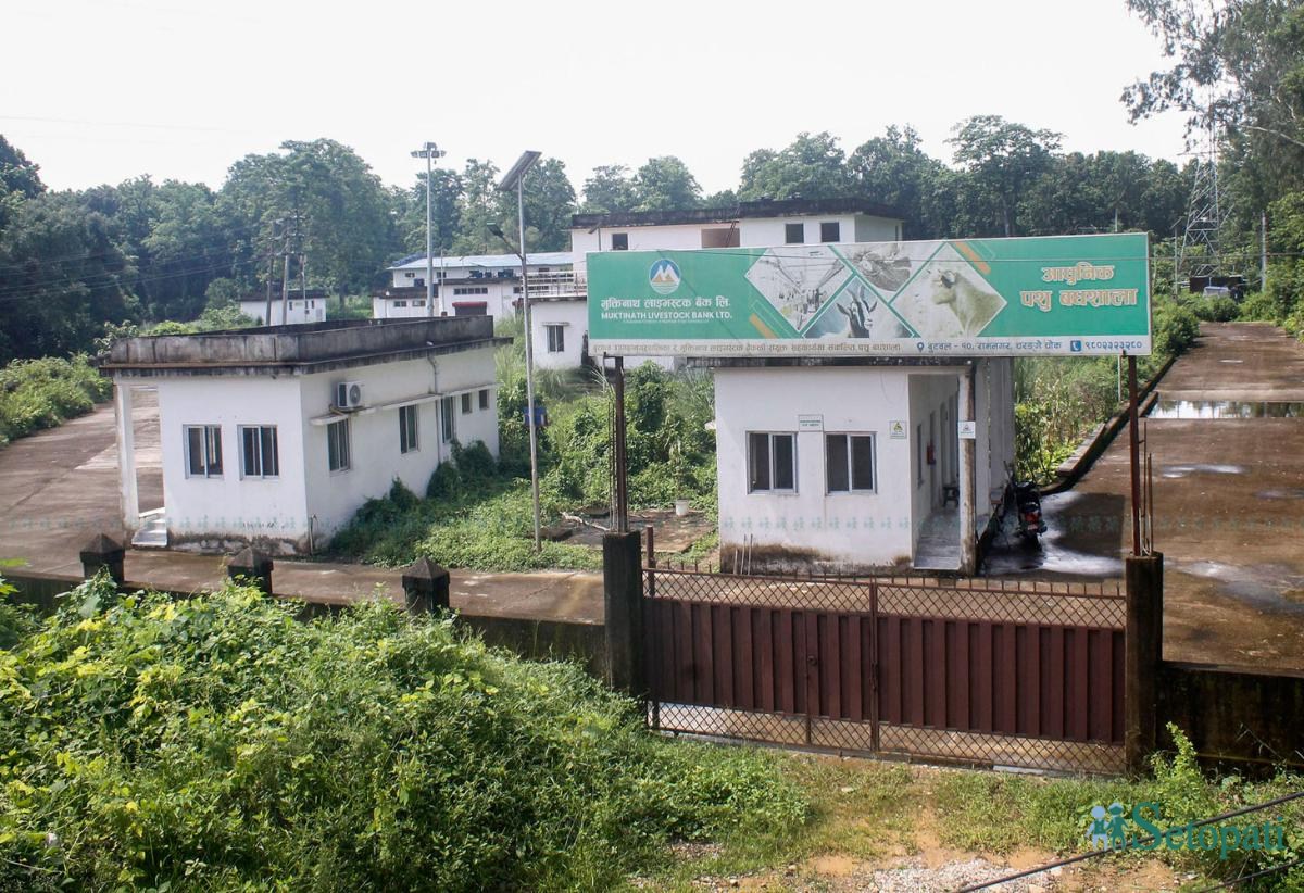 Butwal-Badhshala-Photo_NPL-(3)-ink-1786678766.jpeg