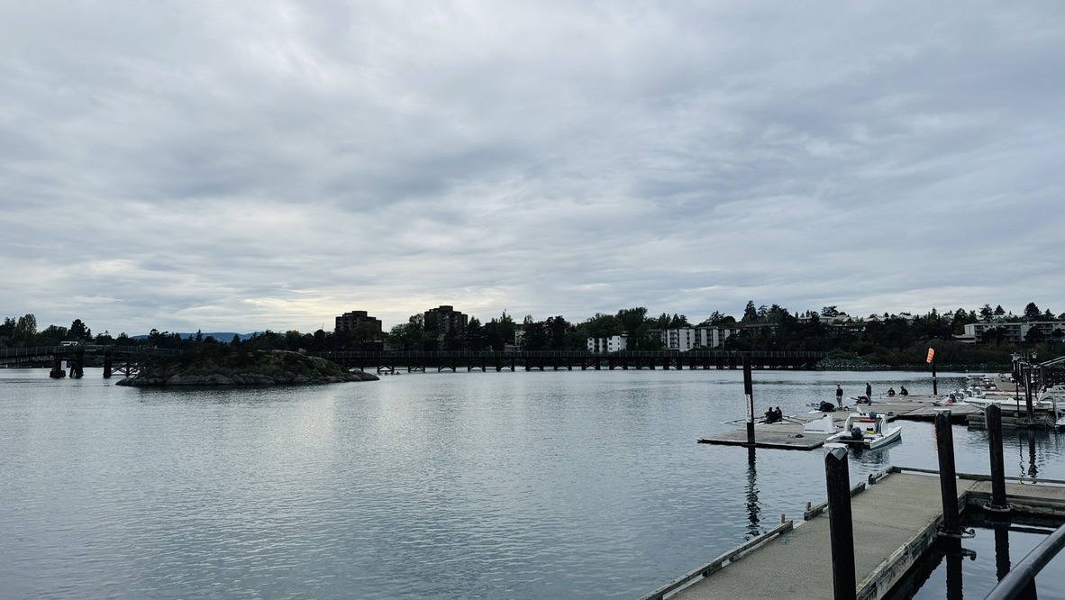 C1BC7C93-FA96-4D05-A690-21508D79F0AC_1_105_c-(1)-1758959653.jpeg