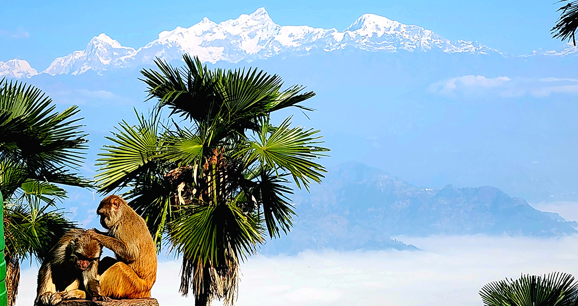 गोरखा जिल्लाको धार्मिक, सांस्कृतिक तथा पर्यटकीयस्थल गोरखकाली मन्दिर परिसरबाट देखिएको आसपासको क्षेत्र र हिमश्रृङ्खला।‌ तस्बिर: चन्द्रकला क्षेत्री/रासस