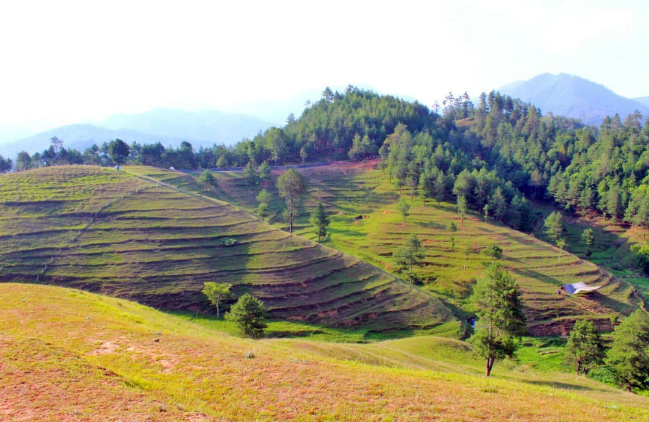 मनोरम चित्लाङ :: Setopati