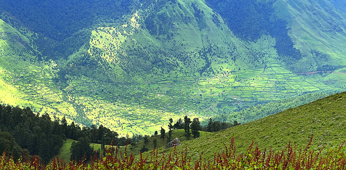 आजका तस्बिर- साउन ७