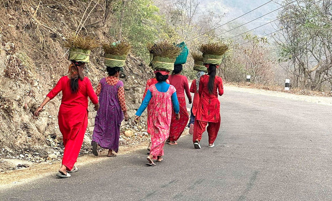 आजका तस्बिर- चैत ३०
