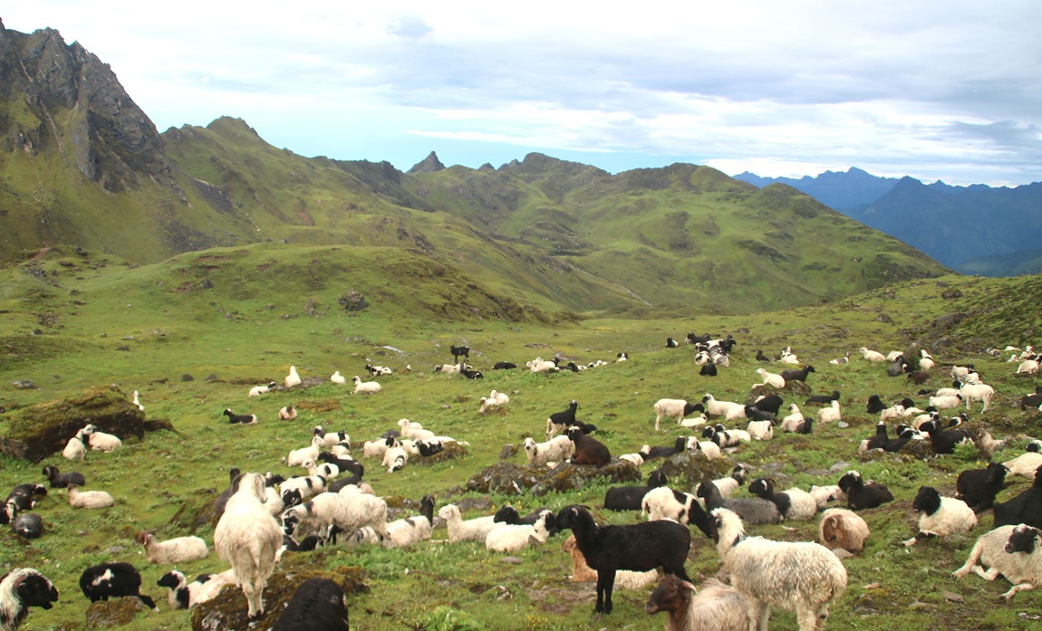 आजका तस्बिर- साउन १५