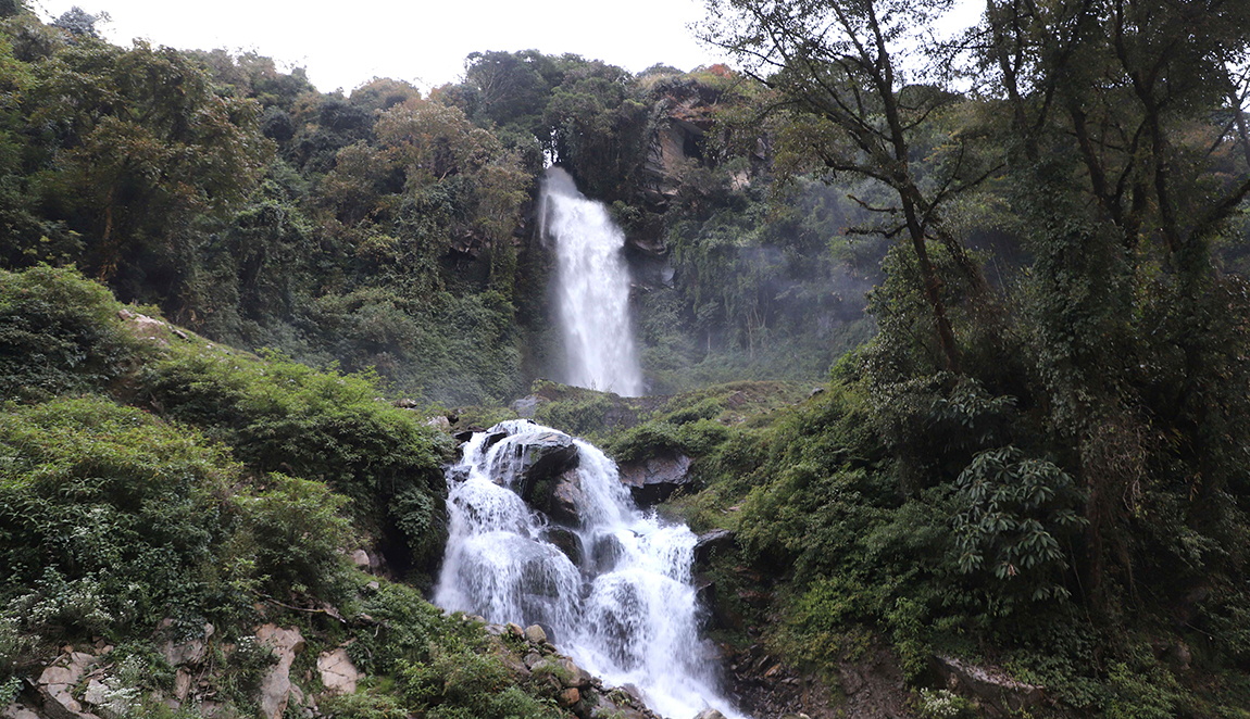 आजका तस्बिर- कात्तिक १०