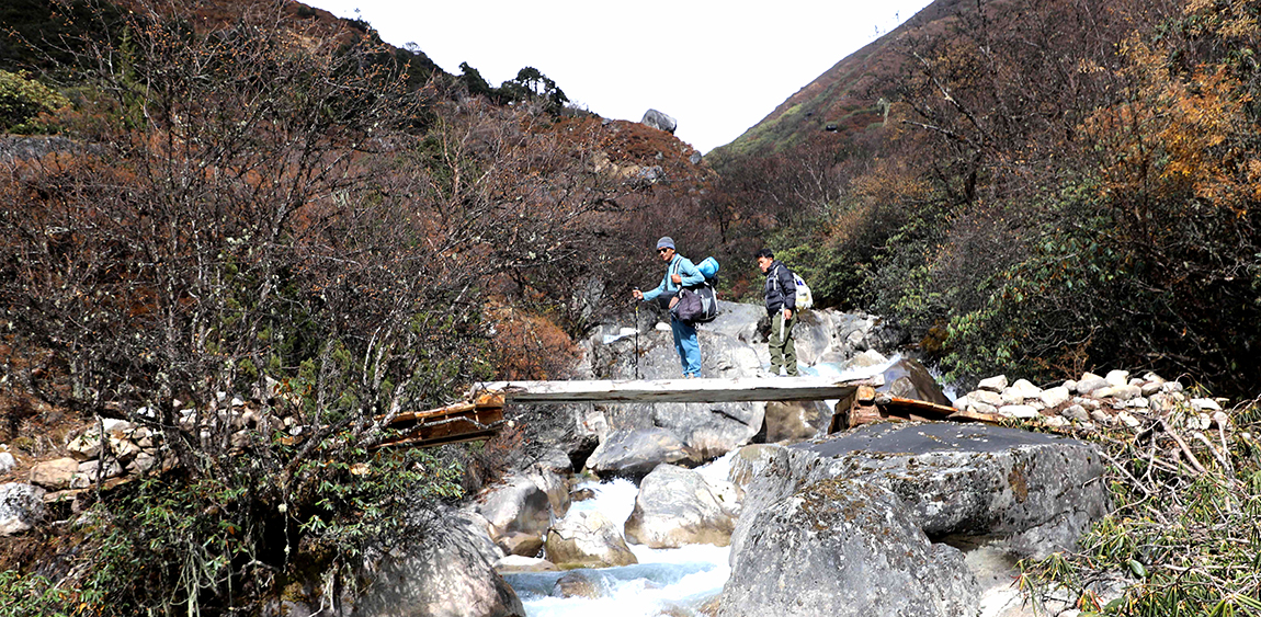 ताप्लेजुङको फक्ताङलुङ गाउँपालिका–७ ओलाङचुङ\गोला क्षेत्रस्थित सिङ्जेमा ताल पुग्ने पदमार्गमा रहेको काठेपुल तर्दै तालतर्फ गइरहेका आन्तरिक पर्यटक। तस्बिरः दिलकुमार लिम्बू/रासस