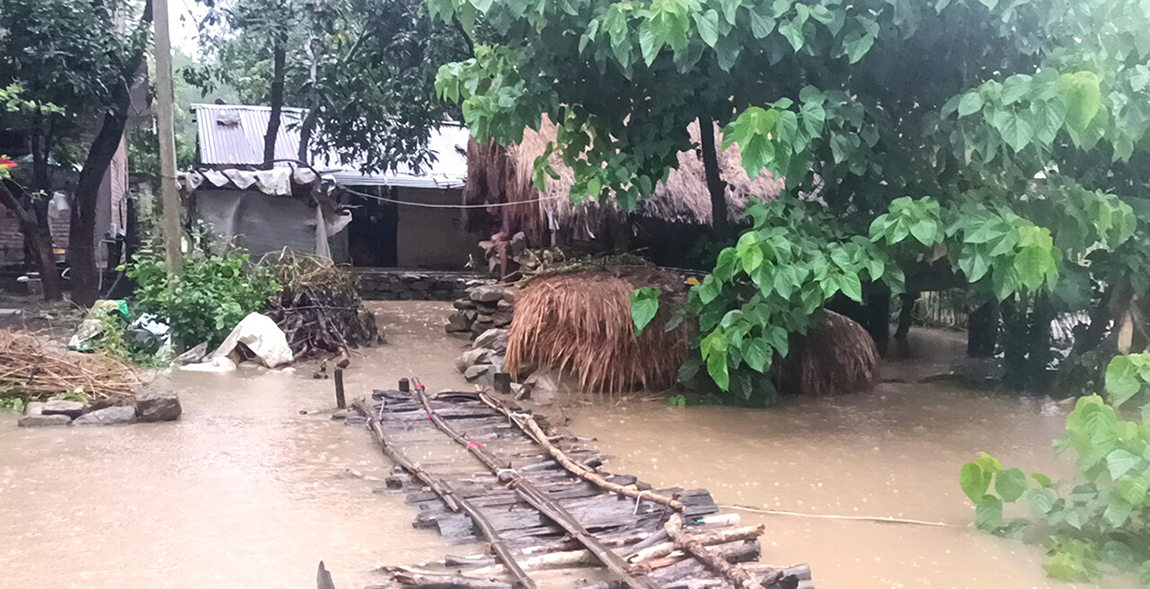 आजका तस्बिर- असार ६