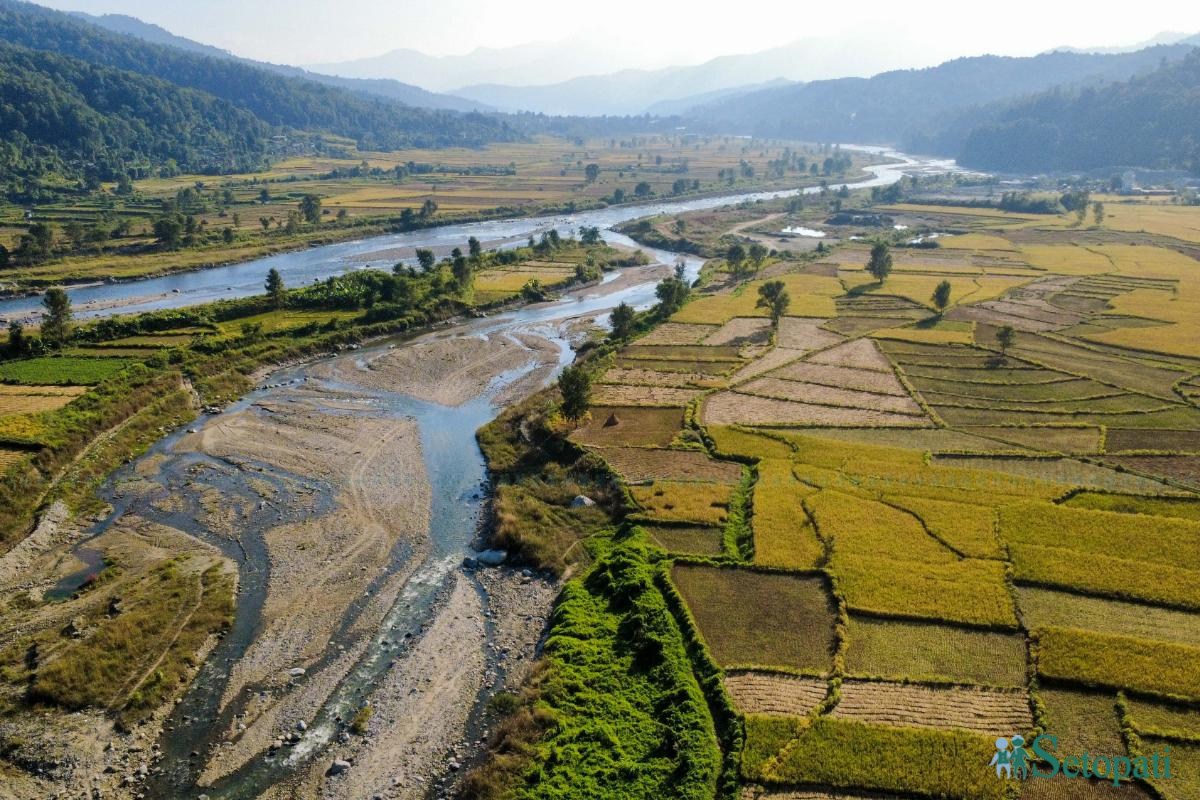 Daraudi-River-side_Rice-Harvesting--2484-ink-1793092672.jpeg