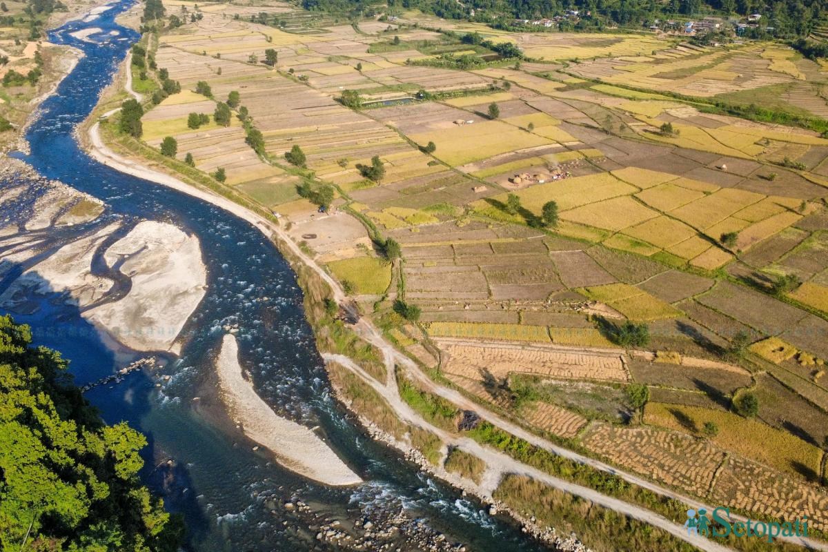 Daraudi-River-side_Rice-Harvesting--2485-ink-1793092672.jpeg