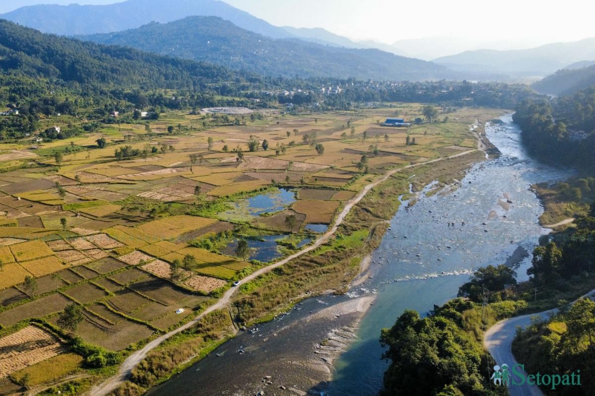 Daraudi-River-side_Rice-Harvesting--2492-ink-1793092674.jpeg