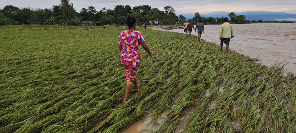 तस्बिर : विनोद सापकोटा/सेतोपाटी