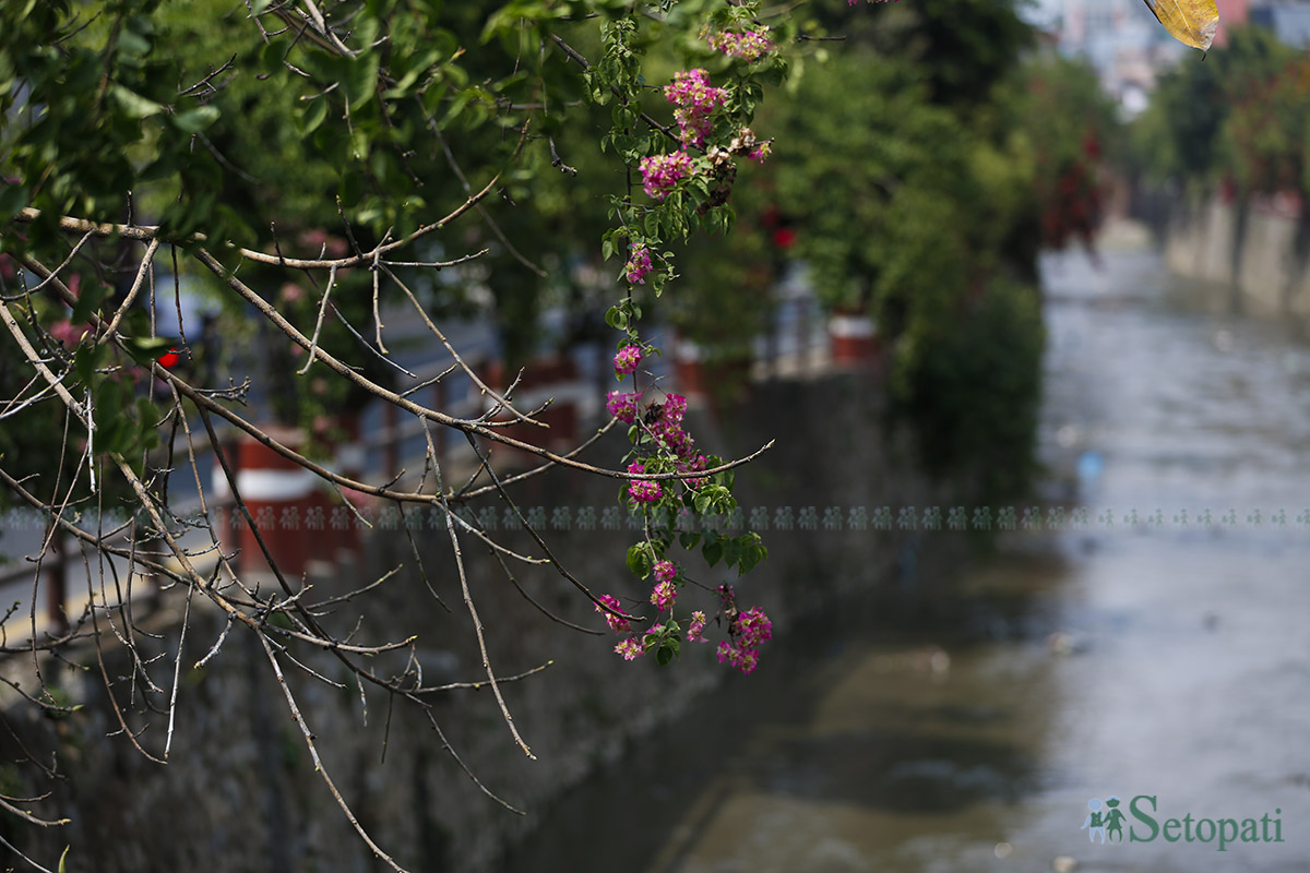Dhobikhola-(5)-1778604327.jpg