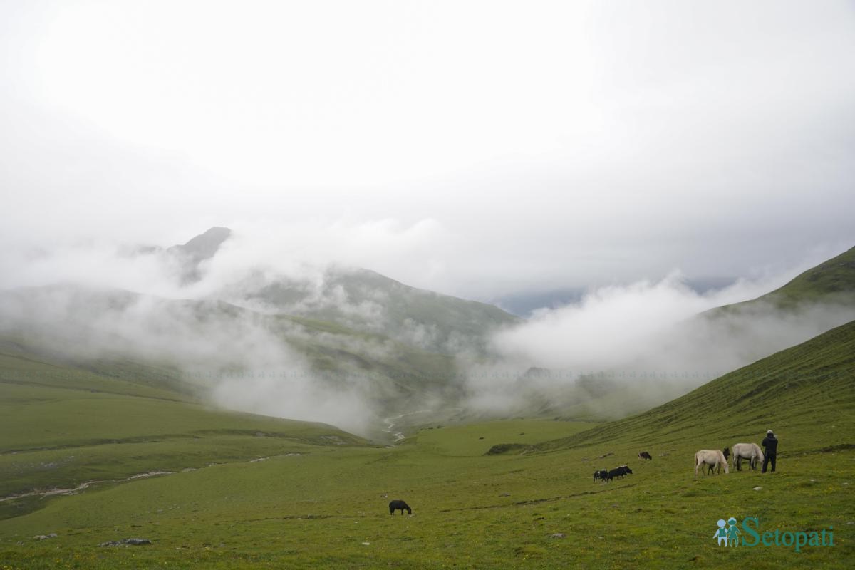 Dhorpatan_NPL_-(13)-ink-1755924947.jpeg