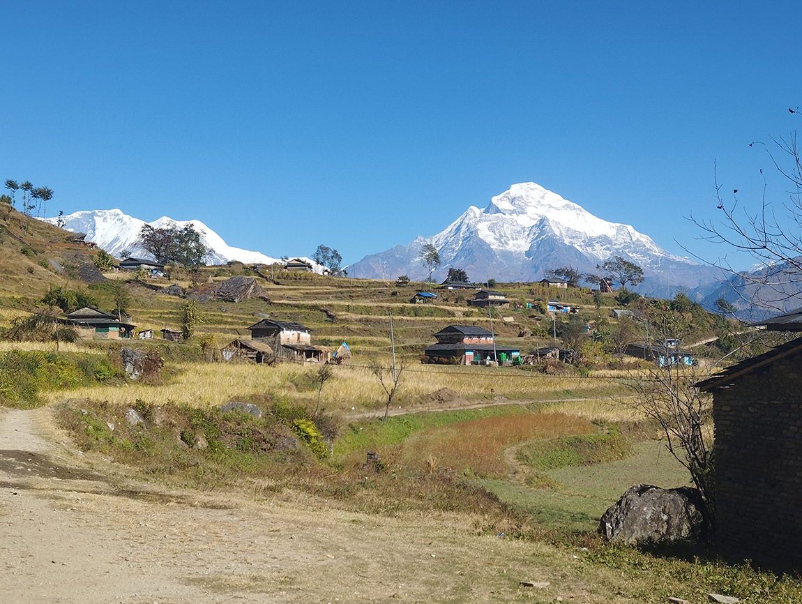 आजका तस्बिर- मंसिर १५