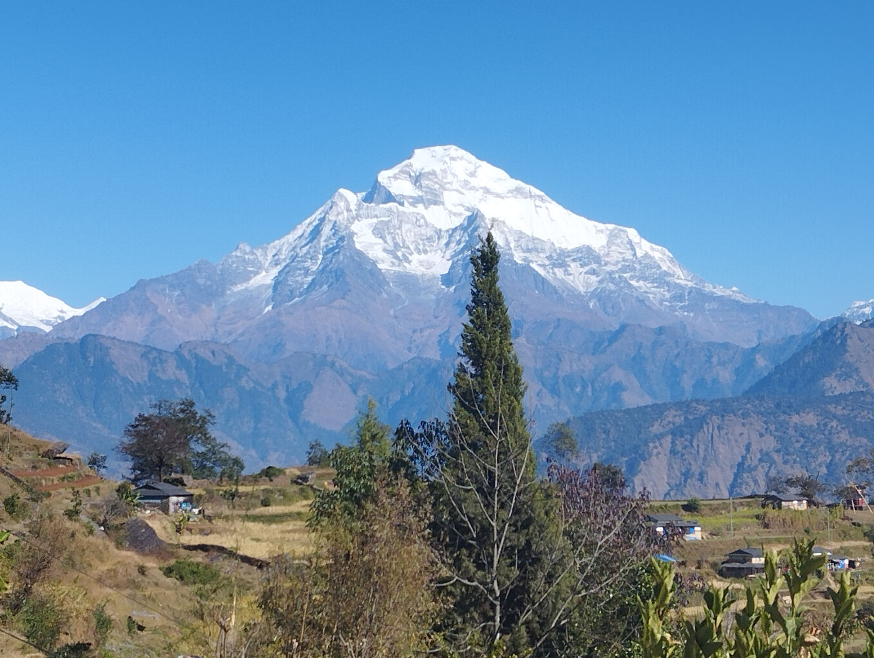 आजका तस्बिर- मंसिर १७