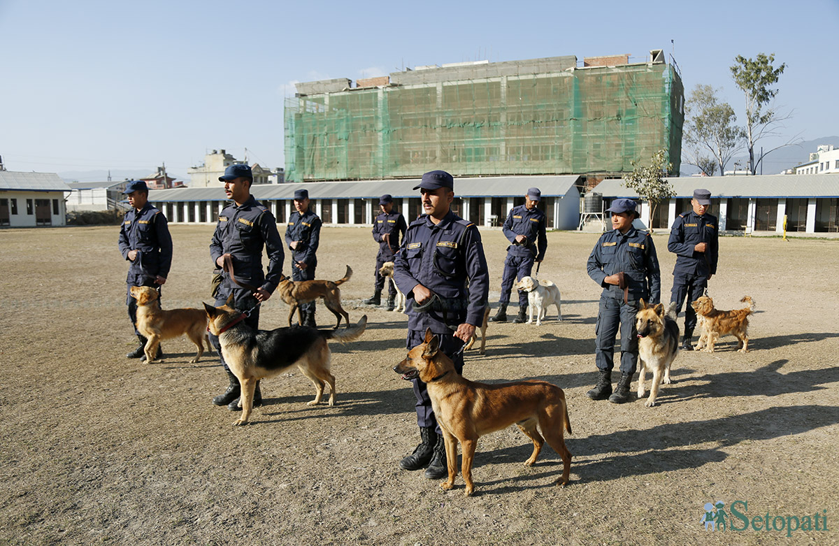 Dog7-1710323968.jpg