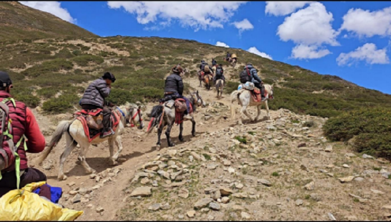 Dolpa14-1751629688.png