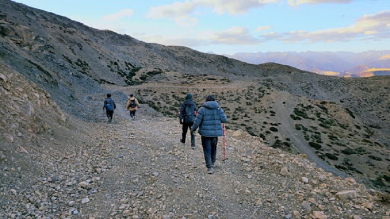 Dolpa16-1751629697.jpg