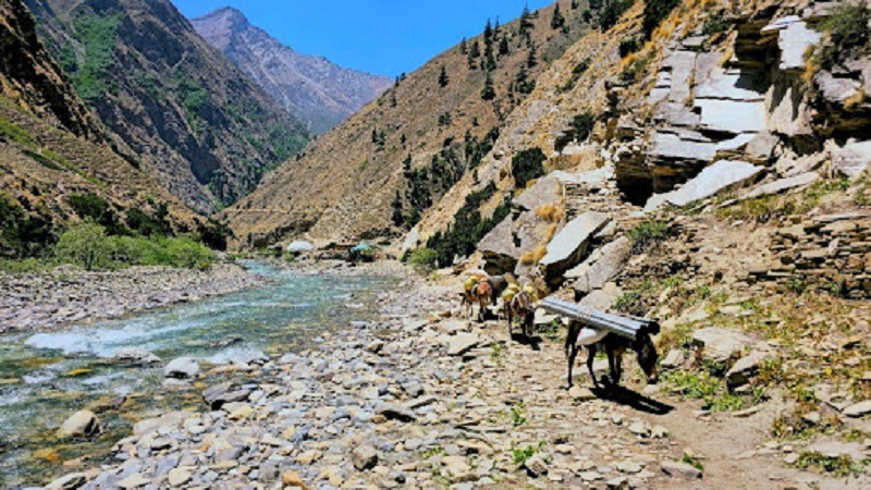 Dolpa23-1751630371.jpg