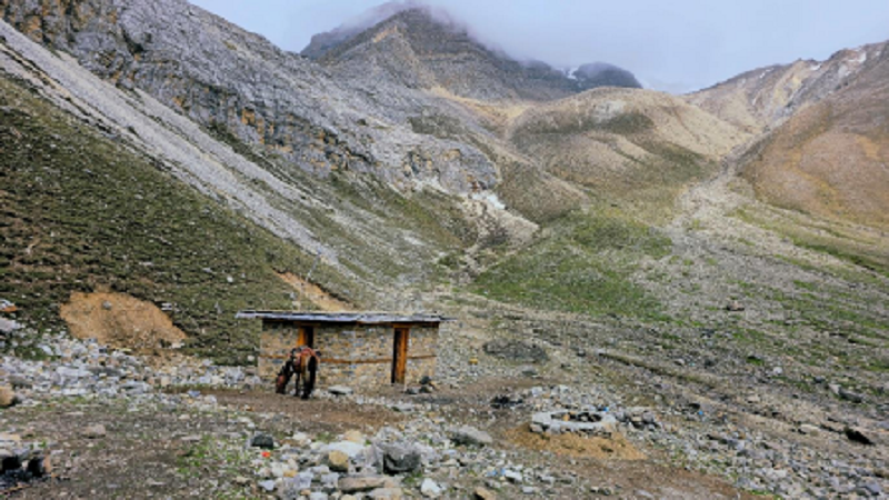 Dolpa8-1751629692.png
