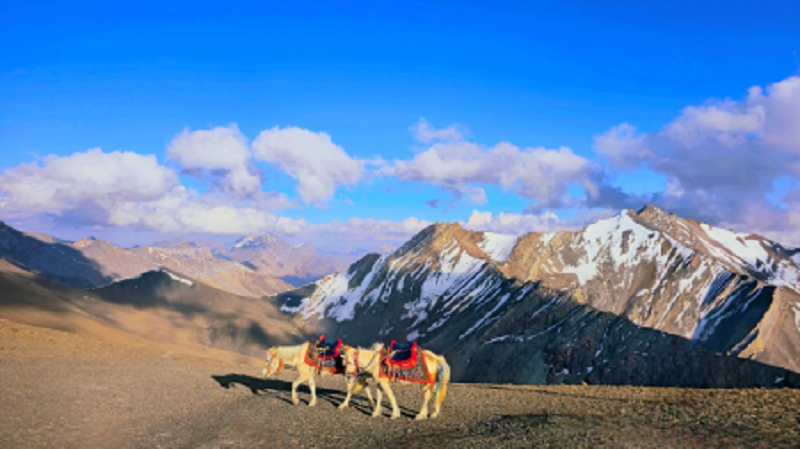 Dolpa9-1751629686.png