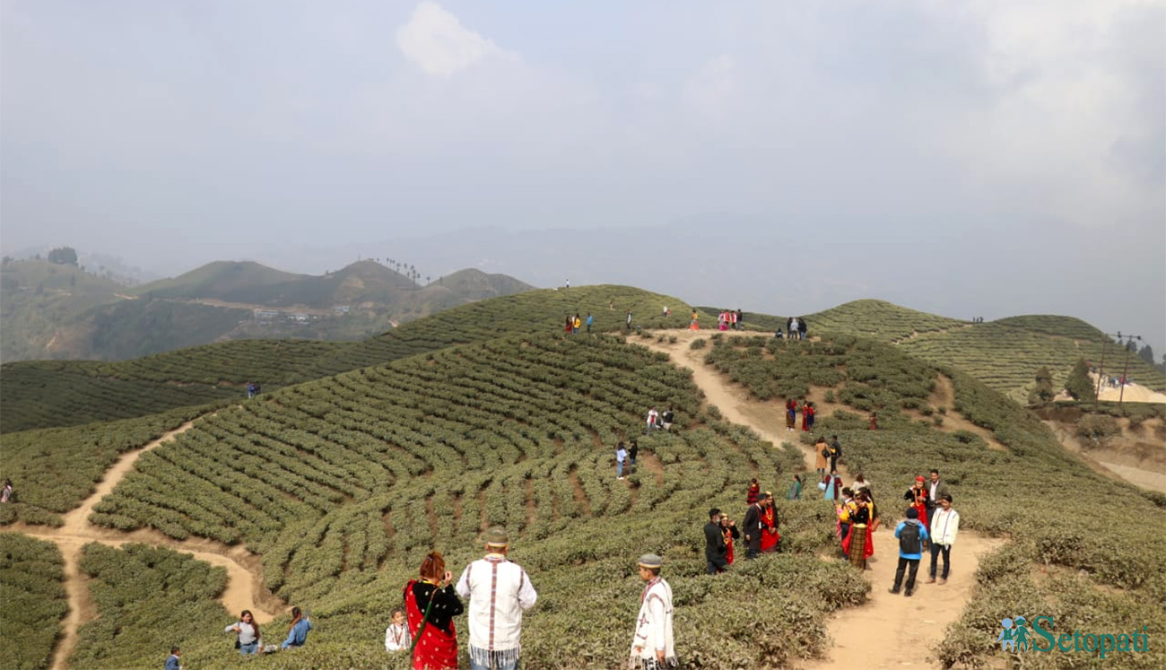 इलामको फिक्कल घुम्न आएका आन्तरिक पर्यटक। तस्बिर सौजन्यः  लिलाराम खड्का