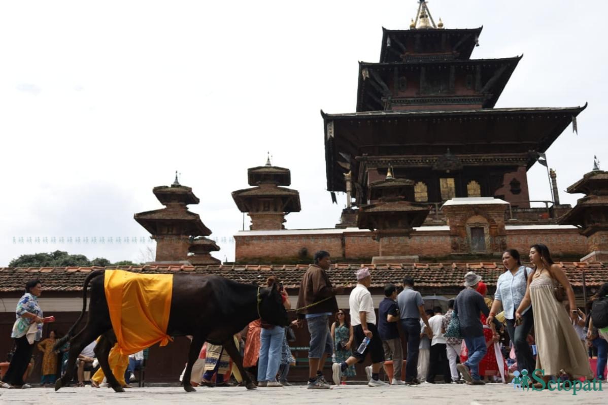 Gaijatra-Photos-Kathmandu-(7)-ink-1787994168.jpeg