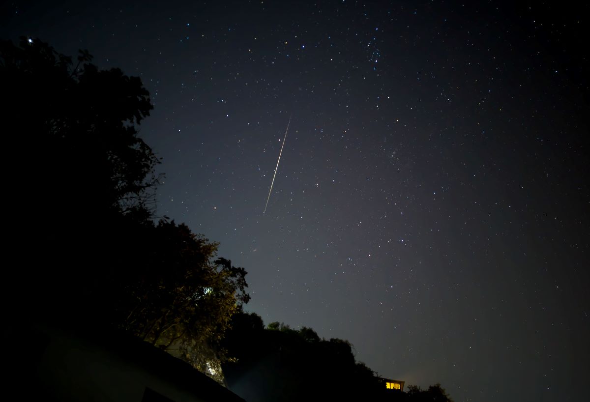 आजका तस्बिर- मंसिर २९