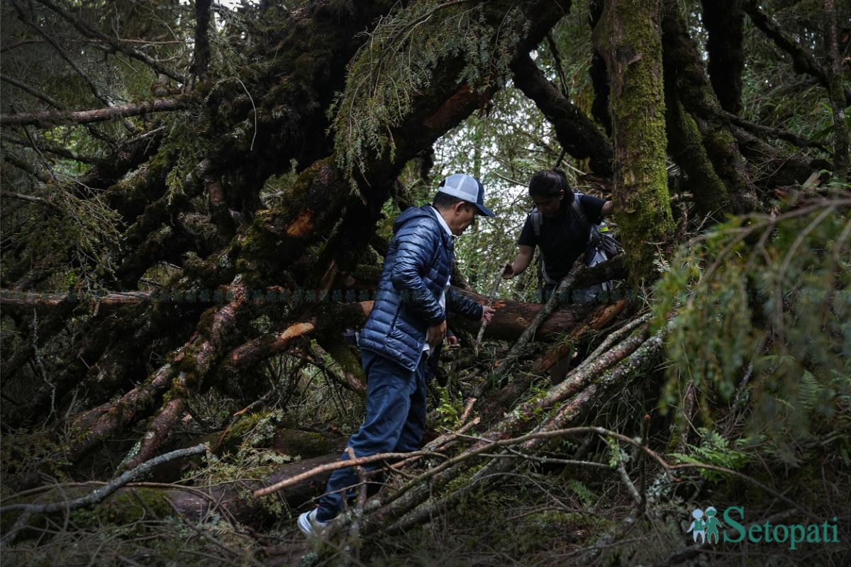 Ghopteghyang-to-Thorepati_Hiking_NPL-PCT_-(13)-ink-1782540420.jpeg