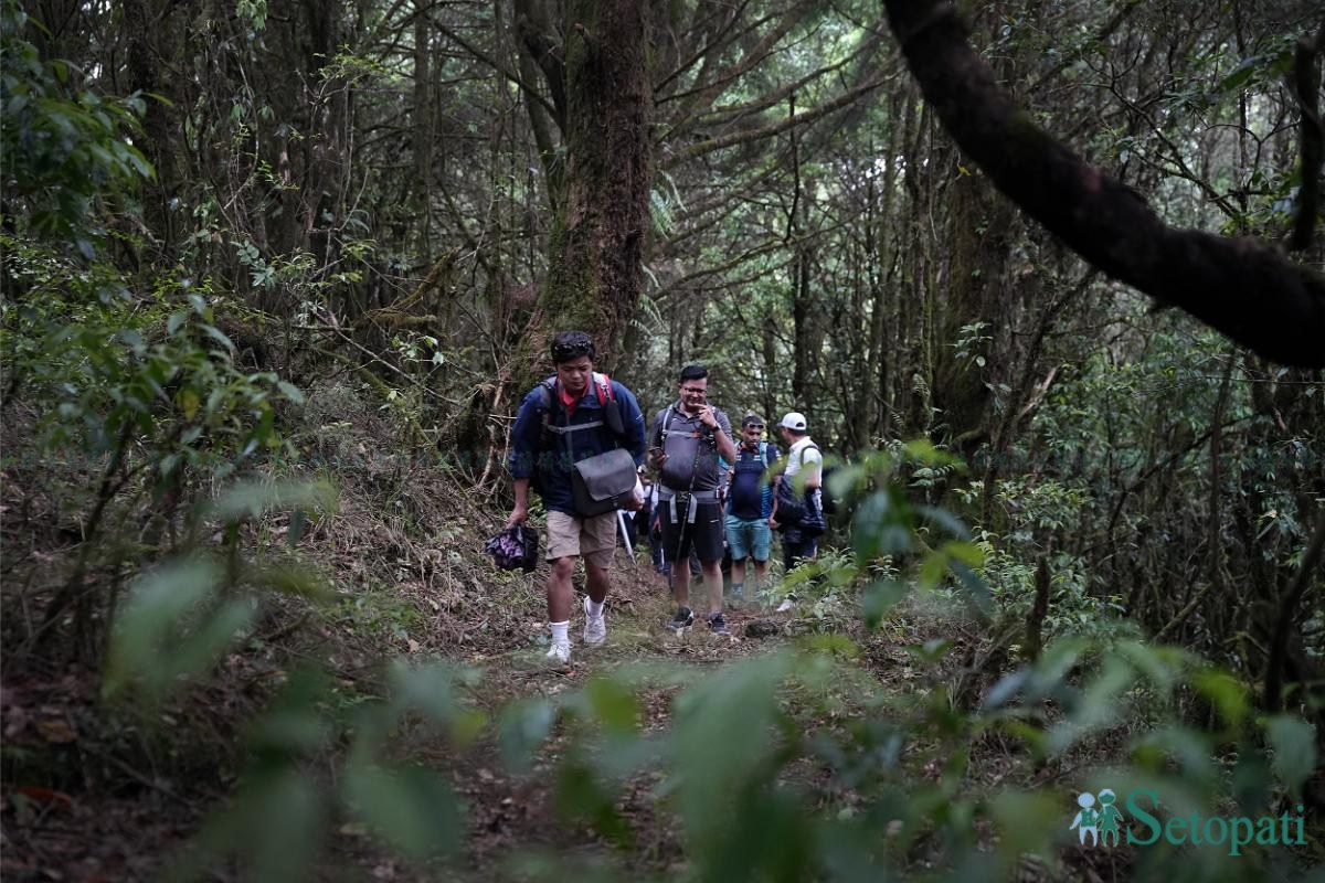Ghopteghyang-to-Thorepati_Hiking_NPL-PCT_-(7)-ink-1782540419.jpeg