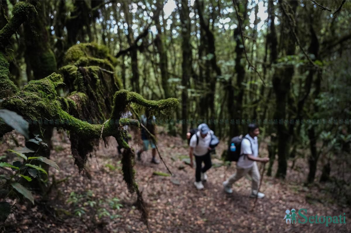 Ghopteghyang-to-Thorepati_Hiking_NPL-PCT_-(8)-ink-1782540419.jpeg