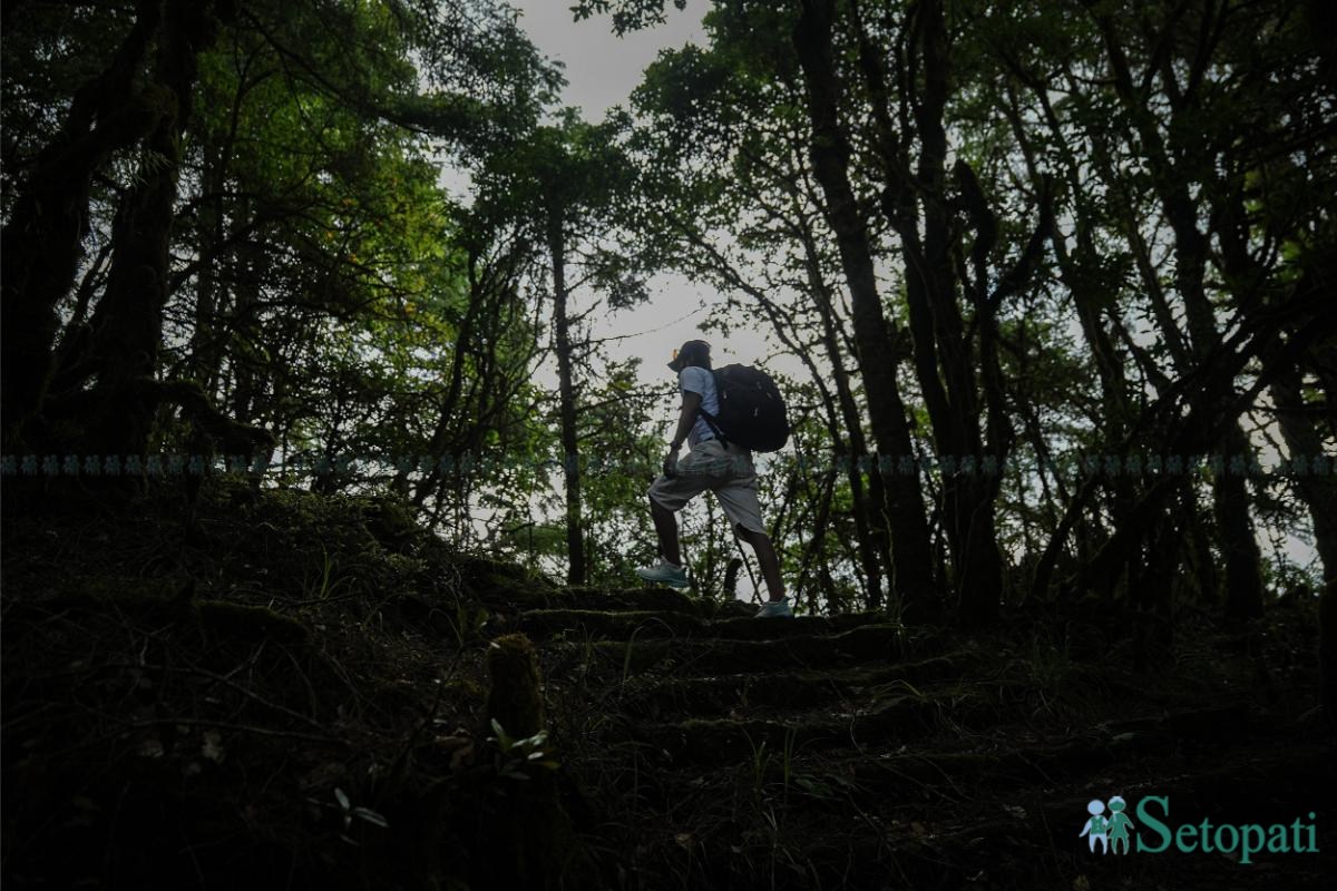 Ghopteghyang-to-Thorepati_Hiking_NPL-PCT_-(9)-ink-1782540419.jpeg