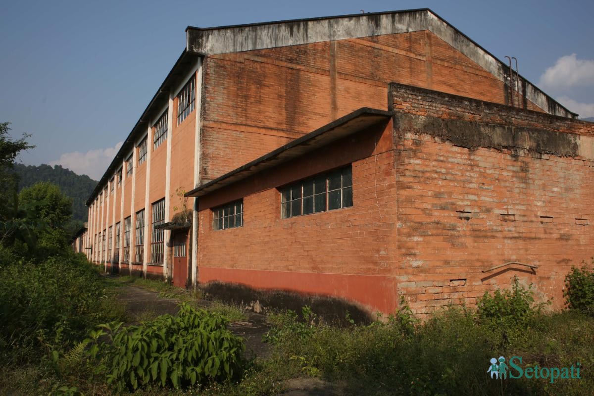 Gorakhkali-Rubber-Industry-159-ink-1729314042.jpeg