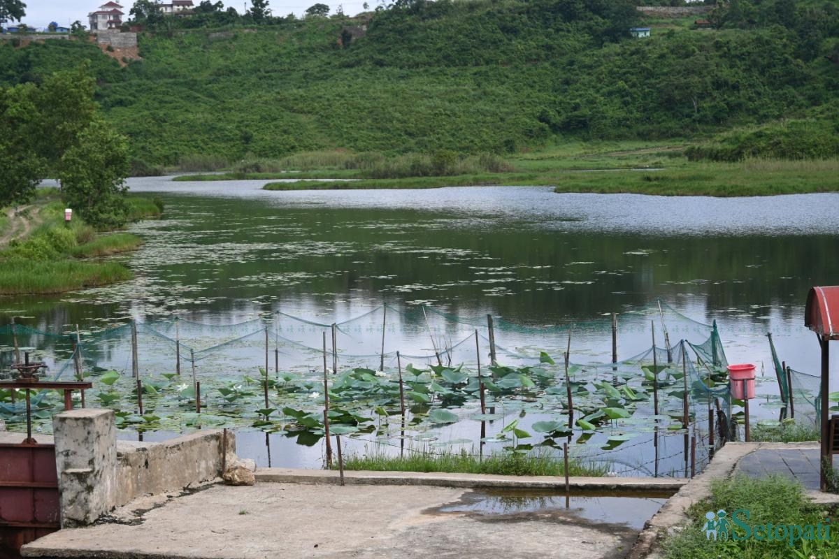 Gudepokhari,-pokhara_-568-ink-1751256040.jpeg