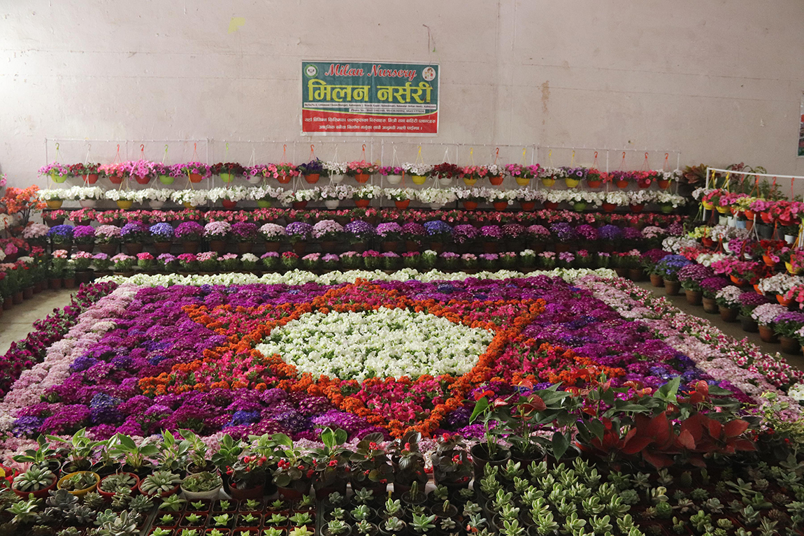 आजका तस्बिर- चैत १६