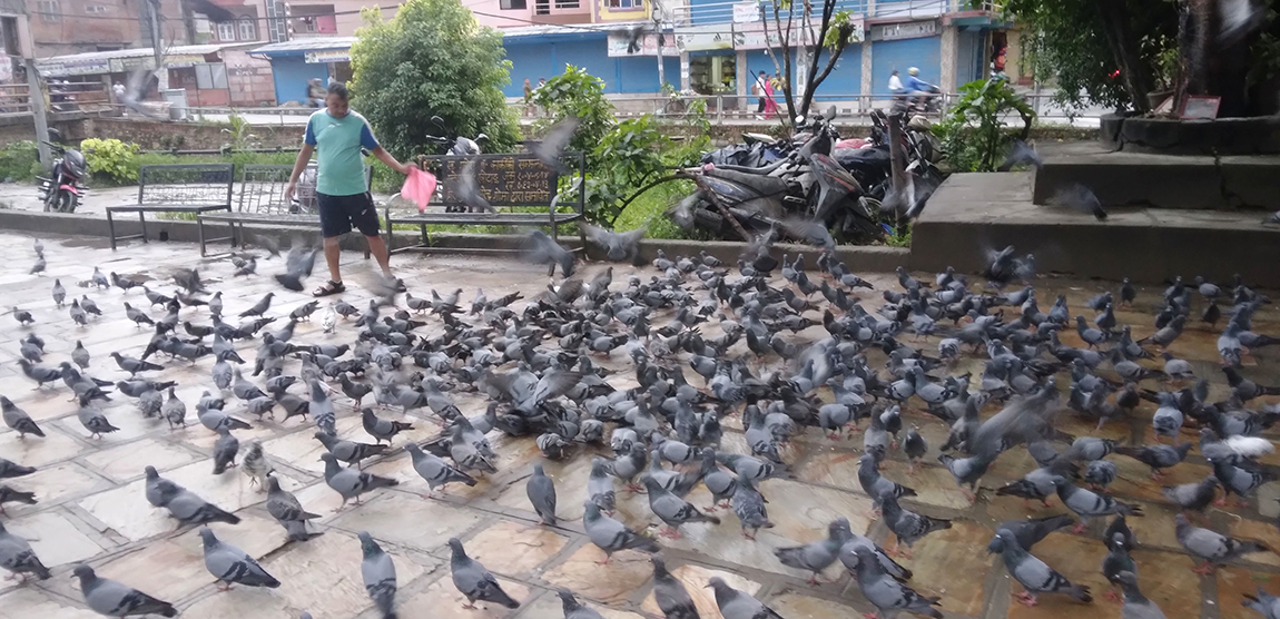 आजका तस्बिर- असार ६