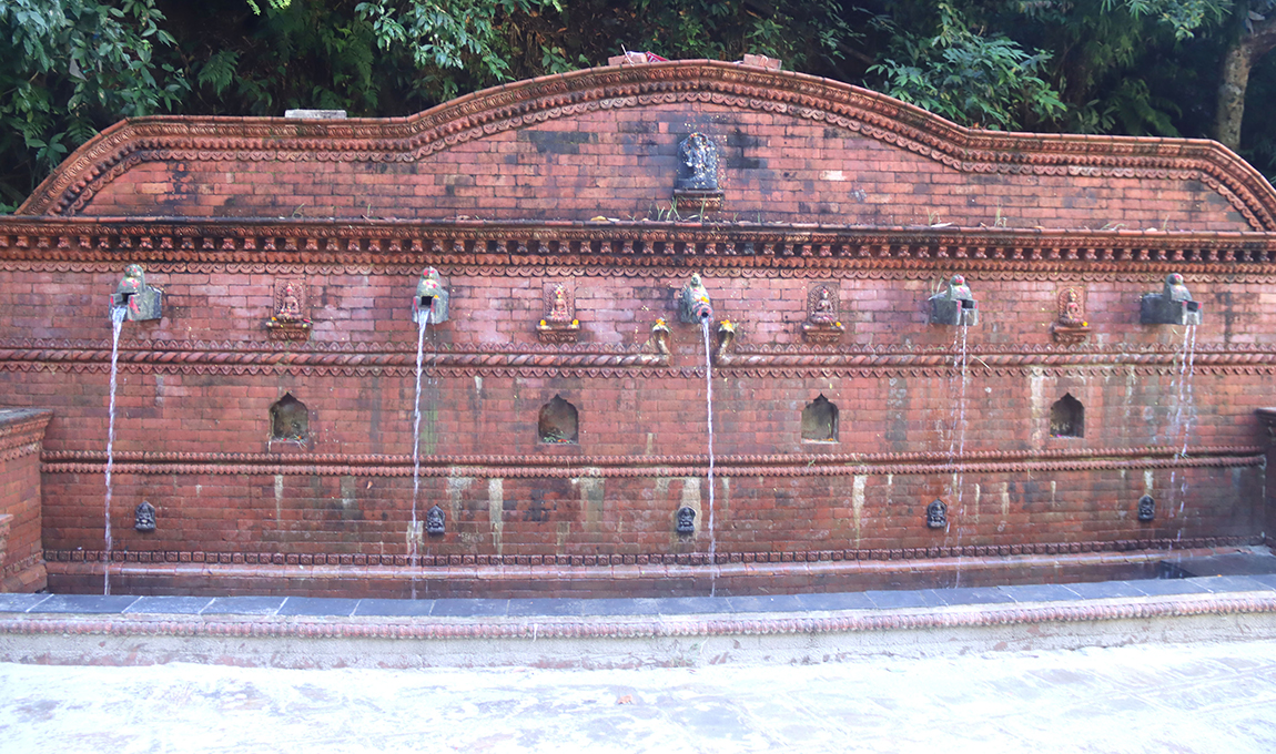 आजका तस्बिर- कात्तिक ४