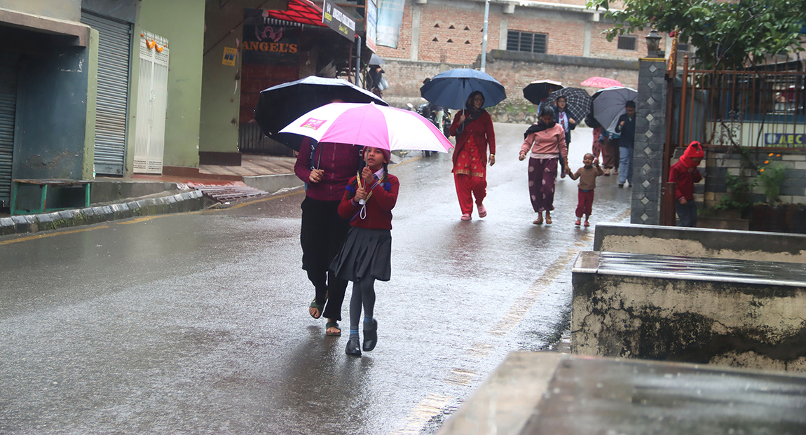 काठमाडौंको तारकेश्वर नगरपालिका-१० स्थित मनमैजुमा पानी परेपछि छाता ओढेर विद्यालयतर्फ जाँदै गरेका विद्यार्थी र गन्तव्यतर्फ जाँदै गरेका सर्वसाधारण। काठमाडौंमा पानी पर्दा जनजीवन प्रभावित भएको छ। तस्बिर: हरिराम भेटुवाल/रासस