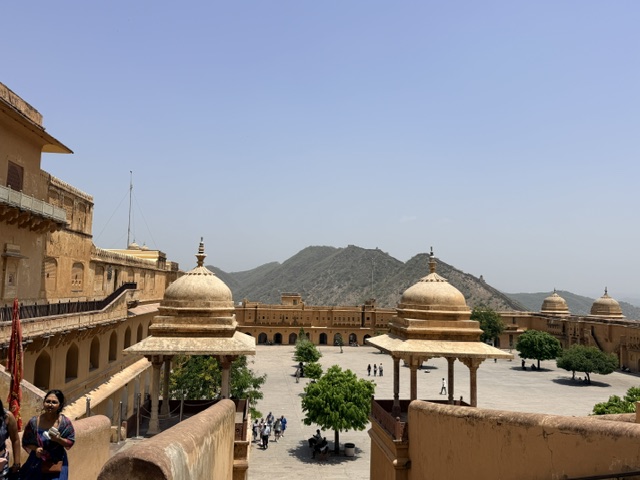 IMG_6635-1780143778.jpeg