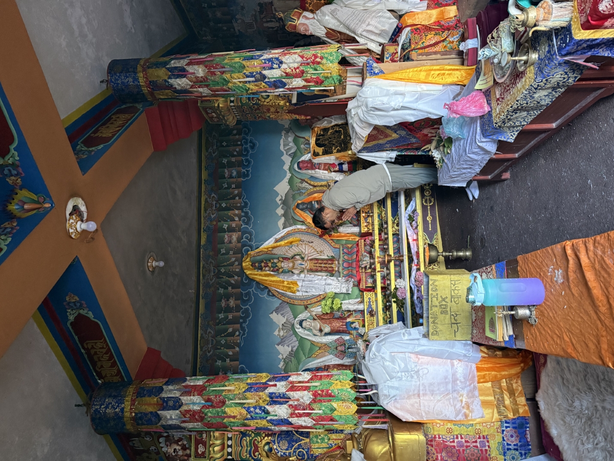 IMG_7517-1780146794.jpeg