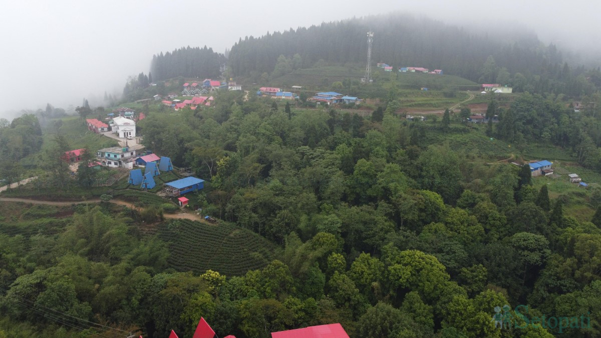 Ilam-antu-dada-(1)-1747896059.jpg